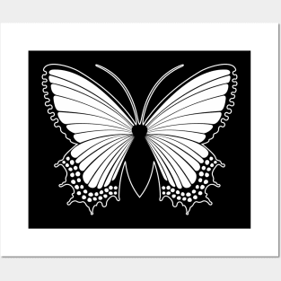 butterfly Posters and Art